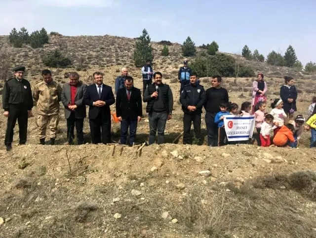 Hekimhan'da fidanlar toprakla buluşturuldu Hekimhan'da fidanlar toprakla buluşturuldu