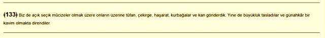 Karınca istilası nedir? Karınca istilası nerede? Karınca istilası Türkiye'ye gelir mi? Kuran'da karınca geçiyor mu? Karınca kıyamet alameti mi?