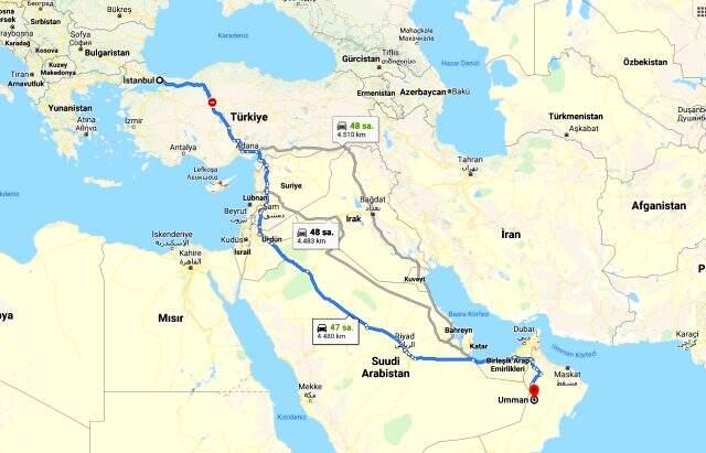 Karınca istilası nedir? Karınca istilası nerede? Karınca istilası Türkiye'ye gelir mi?