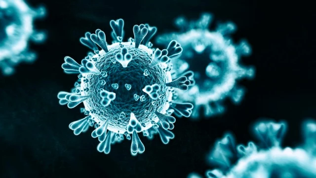 Koronavirüs vücudu nasıl etkiliyor?