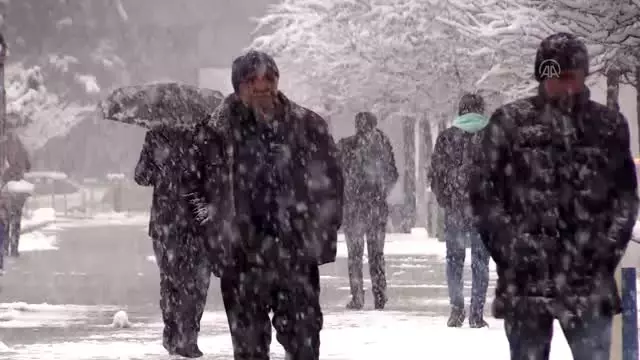 Kar yağışı Kar yağışı