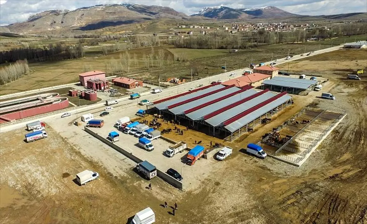 Kelkit canlı hayvan pazarı geçici süreyle kapatıldı