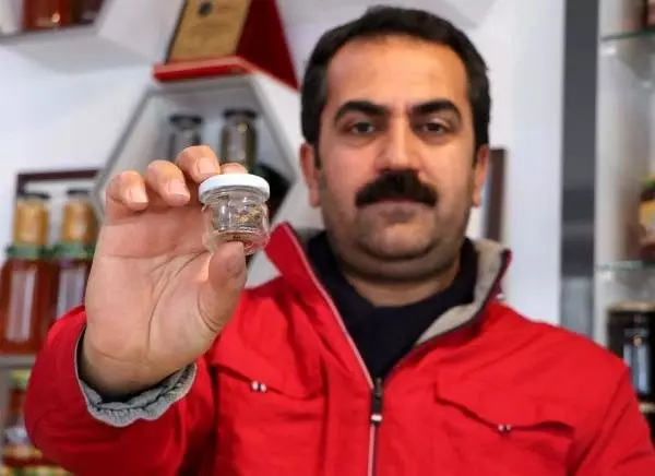 Koronavirüs sonrası bağışıklık sistemini güçlendiren propolis satışları arttı.