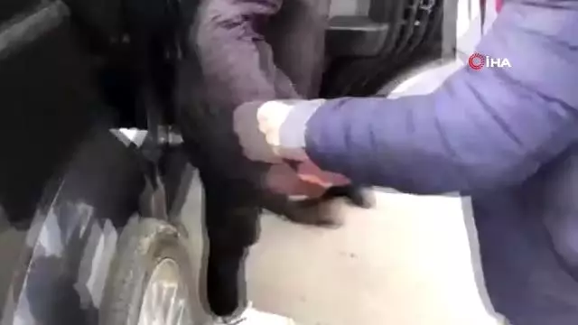 Diyarbakır’da tarihi eser kaçakçılarına darbe