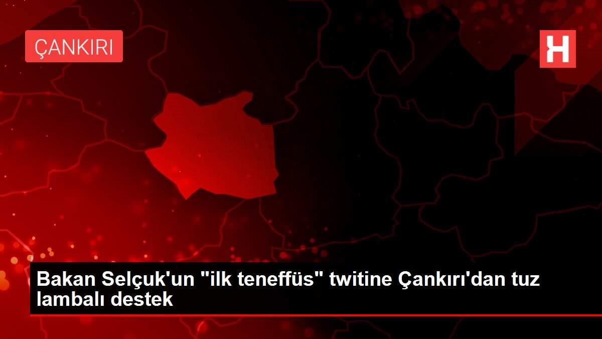 Bakan Selçuk'un