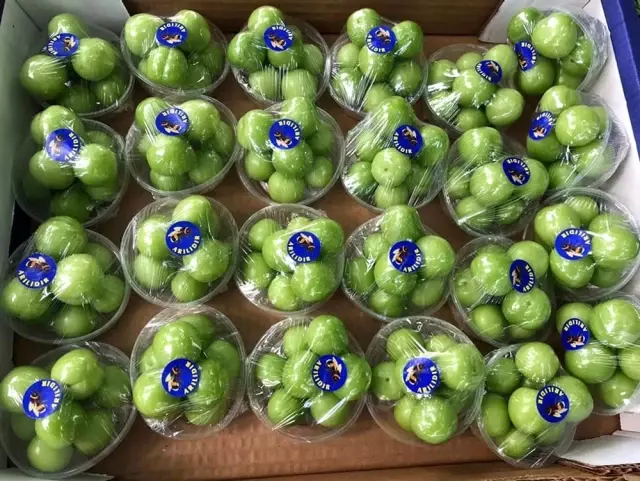 Eriğin kilosu 30 lira Eriğin kilosu 30 lira
