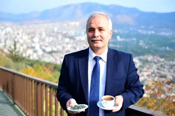 Tarihi kalenin çevresindeki menengiç ve keçiboynuzundan kahveye yoğun ilgi Tarihi kalenin çevresindeki menengiç ve keçiboynuzundan kahveye yoğun ilgi