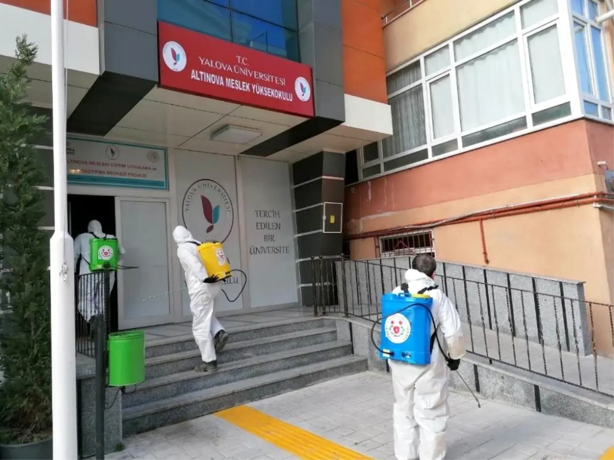 Altınova'da her yer ilaçlanıyor