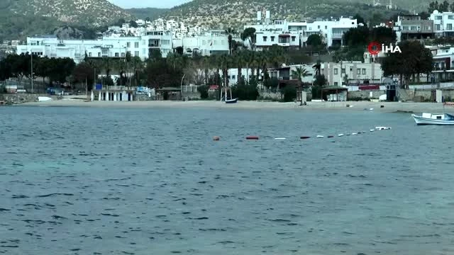 Bodrum'un dünyaca ünlü sahiller sokak hayvanlarına kaldı ...