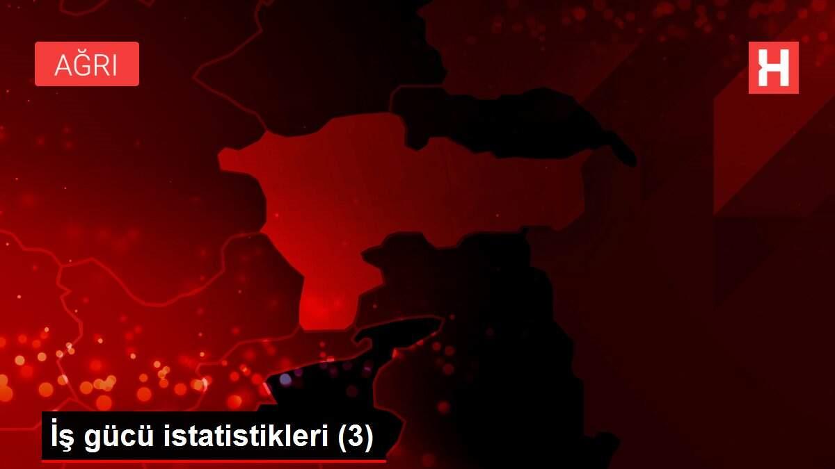 İş gücü istatistikleri (3)