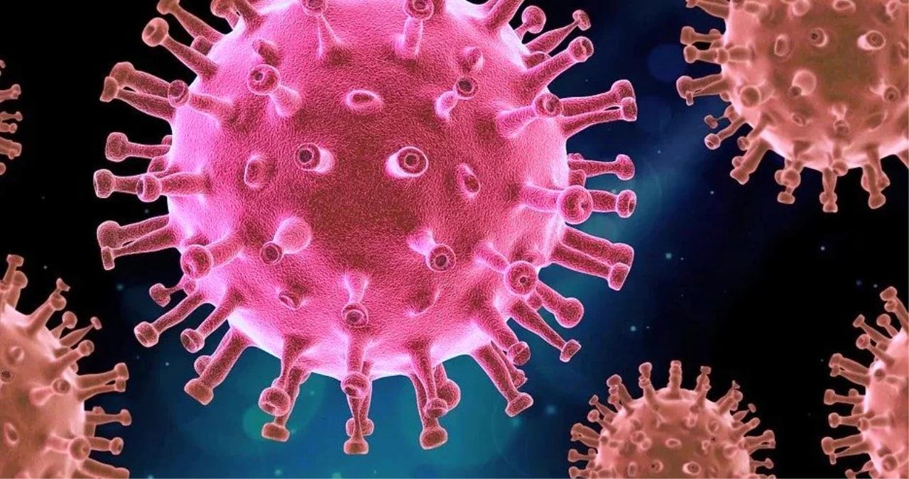 Koronavirüs ne zaman sona erecek? Koronavirüs ne kadar devam edecek?