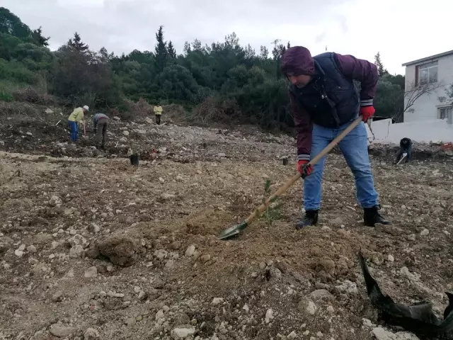 Ormana yapılan kaçak binaların yerine 200 fidan Ormana yapılan kaçak binaların yerine 200 fidan