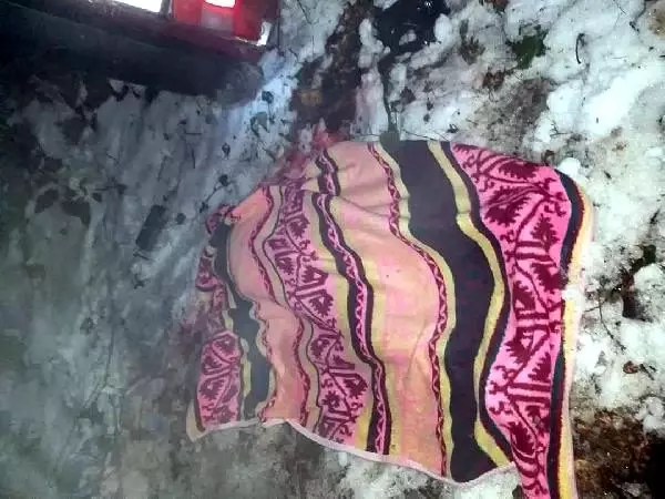 Otomobil ormanlık alana uçtu: 1 ölü, 1 yaralı Otomobil ormanlık alana uçtu: 1 ölü, 1 yaralı