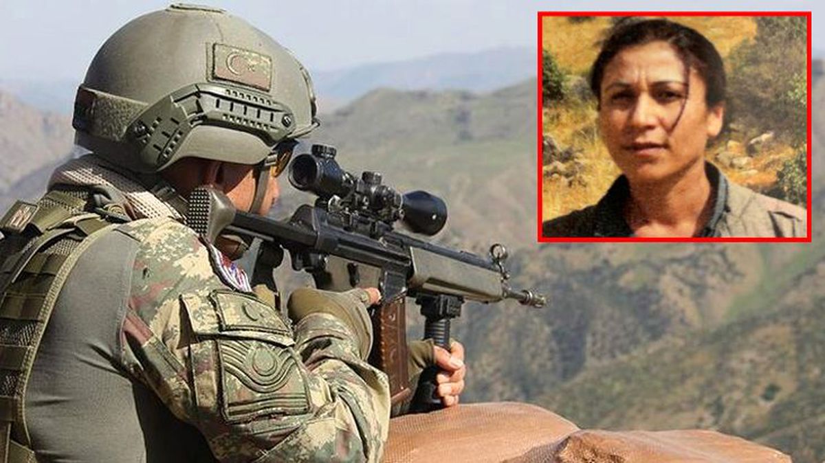 PKK'nın sözde üst düzey yetkilisi Halide Tarı etkisiz hale getirildi
