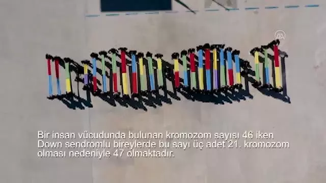 21 Mart Dünya Down Sendromlular Farkındalık Günü 21 Mart Dünya Down Sendromlular Farkındalık Günü