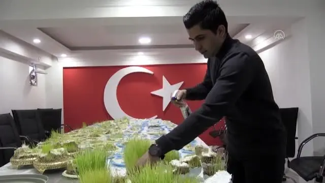 Anadolu'da baharın, bereketin ve birliğin sembolü: 'Semeni' Anadolu'da baharın, bereketin ve birliğin sembolü: 'Semeni'