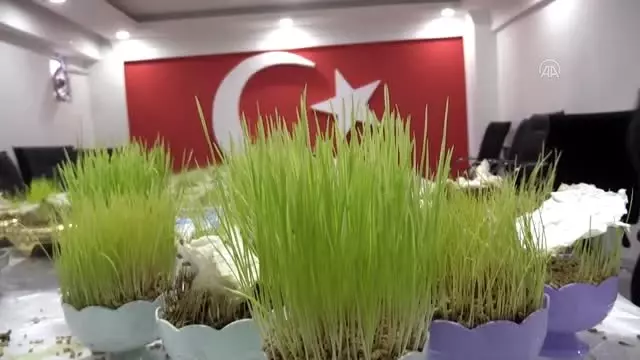 Anadolu'da baharın, bereketin ve birliğin sembolü: 'Semeni' Anadolu'da baharın, bereketin ve birliğin sembolü: 'Semeni'