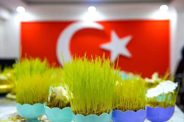 Anadolu'da baharın, bereketin ve birliğin sembolü: 'Semeni' Anadolu'da baharın, bereketin ve birliğin sembolü: 'Semeni'
