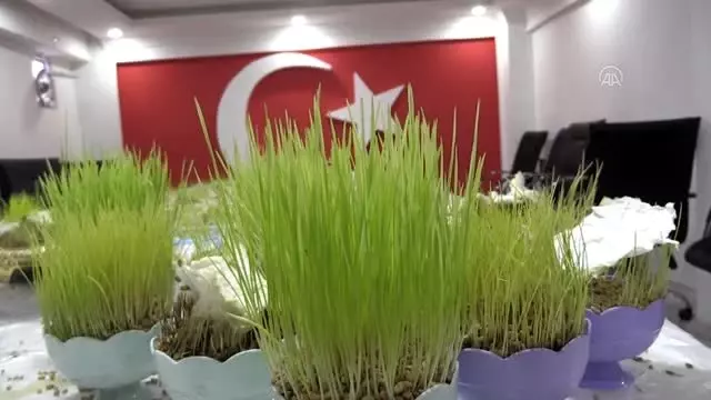 Anadolu'da baharın, bereketin ve birliğin sembolü: 'Semeni' Anadolu'da baharın, bereketin ve birliğin sembolü: 'Semeni'