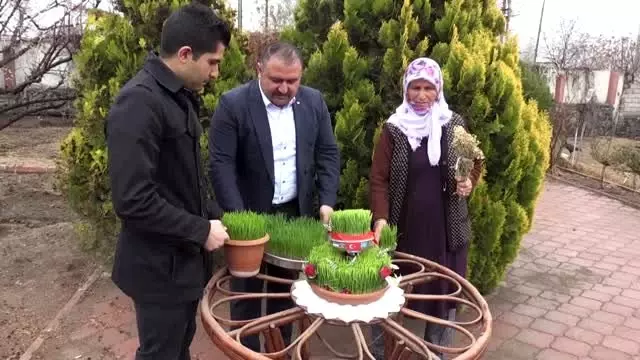 Anadolu'da baharın, bereketin ve birliğin sembolü: 'Semeni' Anadolu'da baharın, bereketin ve birliğin sembolü: 'Semeni'