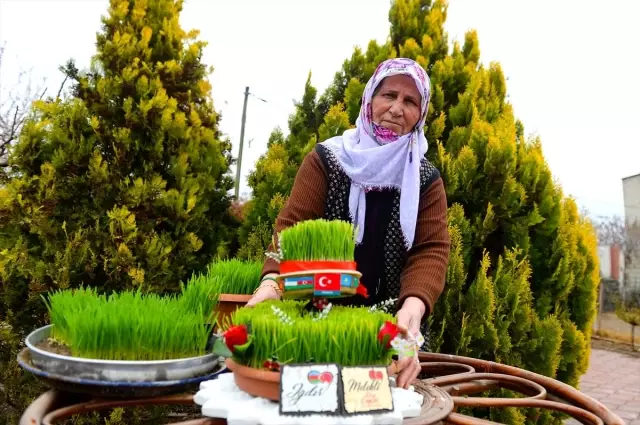 Anadolu'da baharın, bereketin ve birliğin sembolü: 'Semeni' Anadolu'da baharın, bereketin ve birliğin sembolü: 'Semeni'