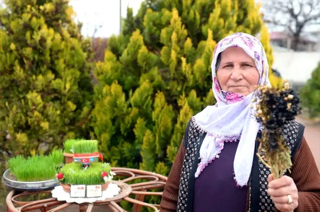 Anadolu'da baharın, bereketin ve birliğin sembolü: 'Semeni' Anadolu'da baharın, bereketin ve birliğin sembolü: 'Semeni'