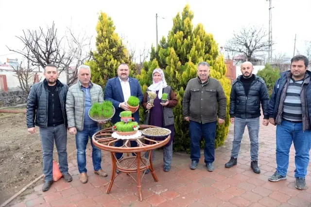 Anadolu'da baharın, bereketin ve birliğin sembolü: 'Semeni' Anadolu'da baharın, bereketin ve birliğin sembolü: 'Semeni'