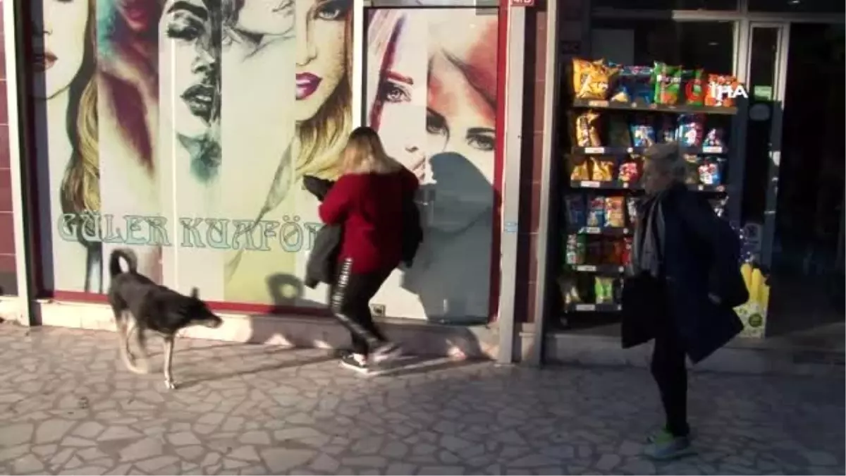 Berber, kuaför ve güzellik salonları kepenkleri indirdi