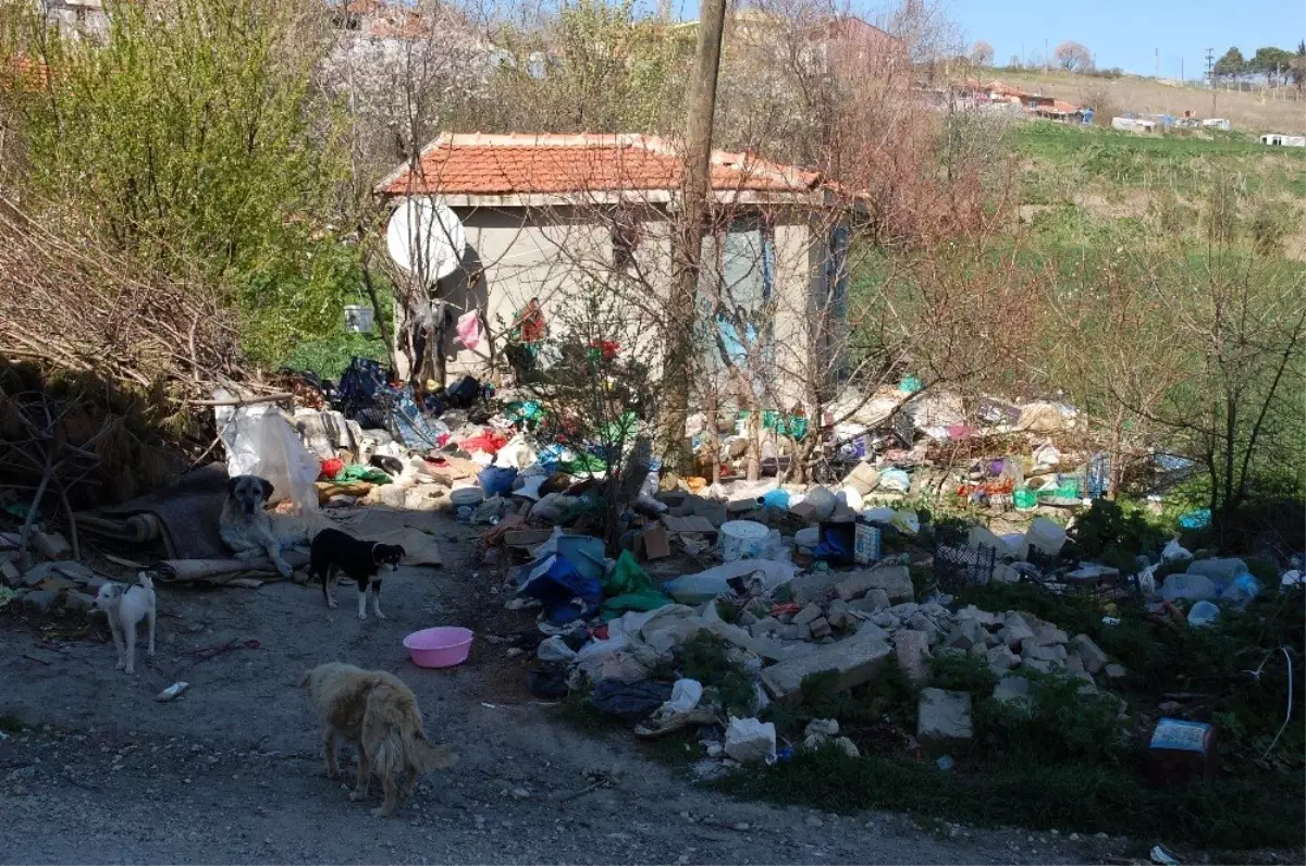 Çöp ev temizlenmeyi bekliyor Tekirdağ