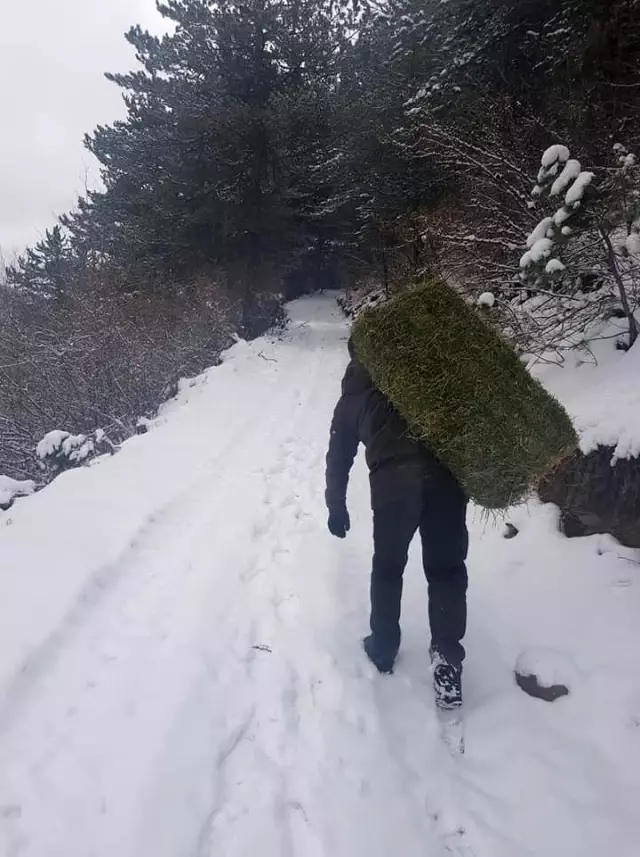 Kastamonu'da yaban hayvanları için doğaya yem bırakıldı