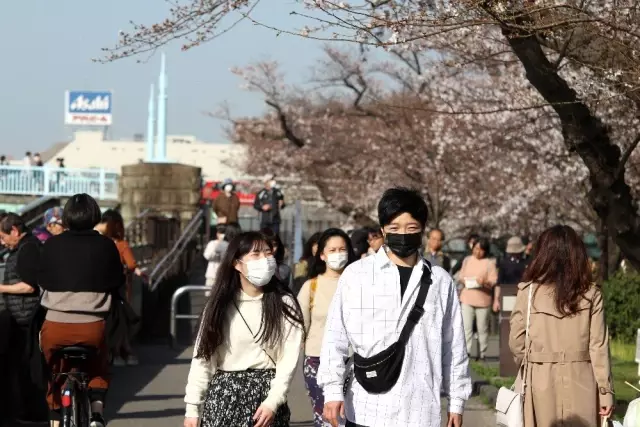 Japonya'da 'sakura' coşkusuna korona virüsü engeli Japonya'da 'sakura' coşkusuna korona virüsü engeli