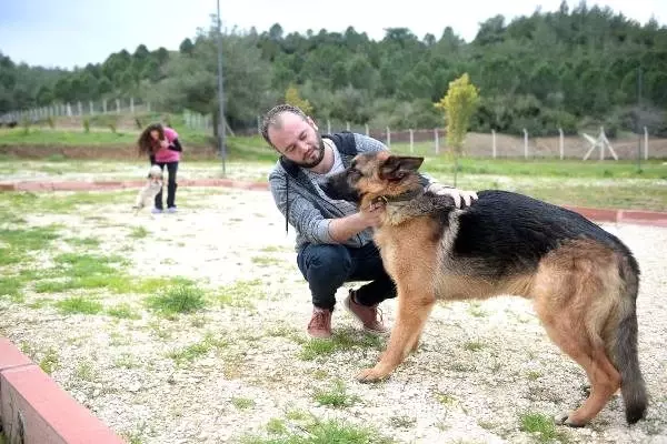 Koronavirüs endişesi evcil hayvan otellerini doldurdu Koronavirüs endişesi evcil hayvan otellerini doldurdu