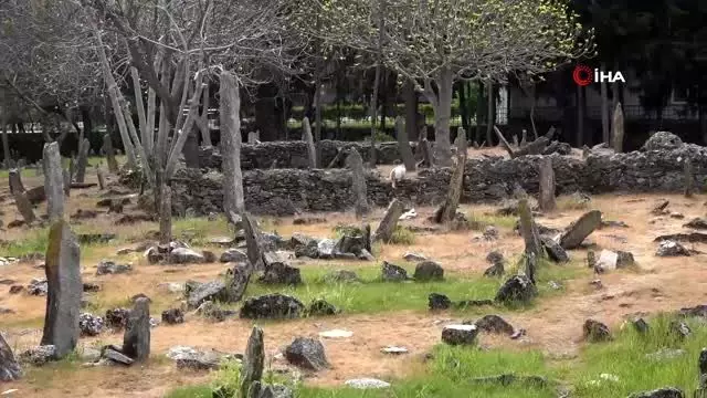 Alanya'da sahipsiz taş mezarlar gizemi koruyor Alanya'da sahipsiz taş mezarlar gizemi koruyor