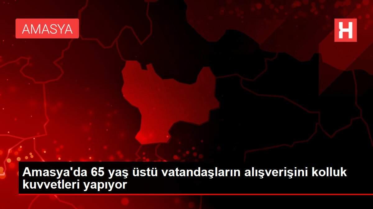 Amasya'da 65 yaş üstü vatandaşların alışverişini kolluk kuvvetleri yapıyor