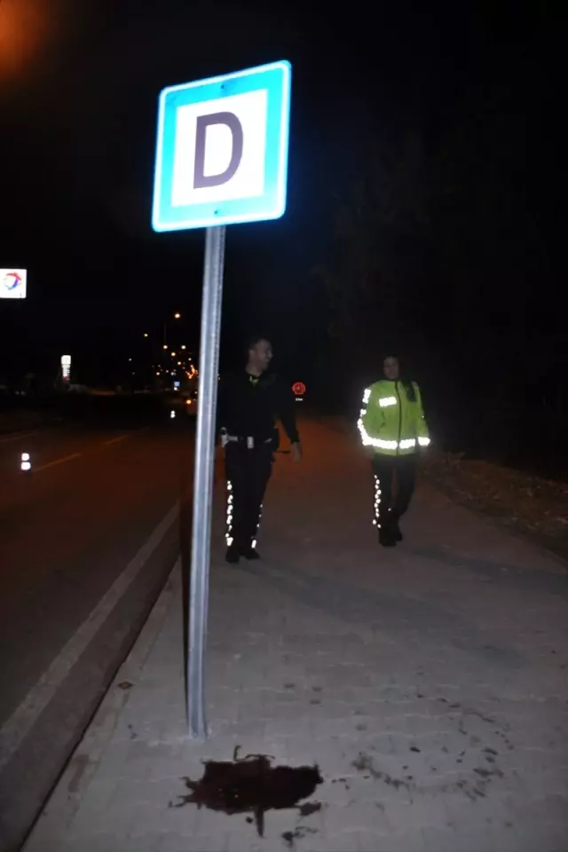 Aydın'da devrilen motosikletin sürücüsü öldü Aydın'da devrilen motosikletin sürücüsü öldü
