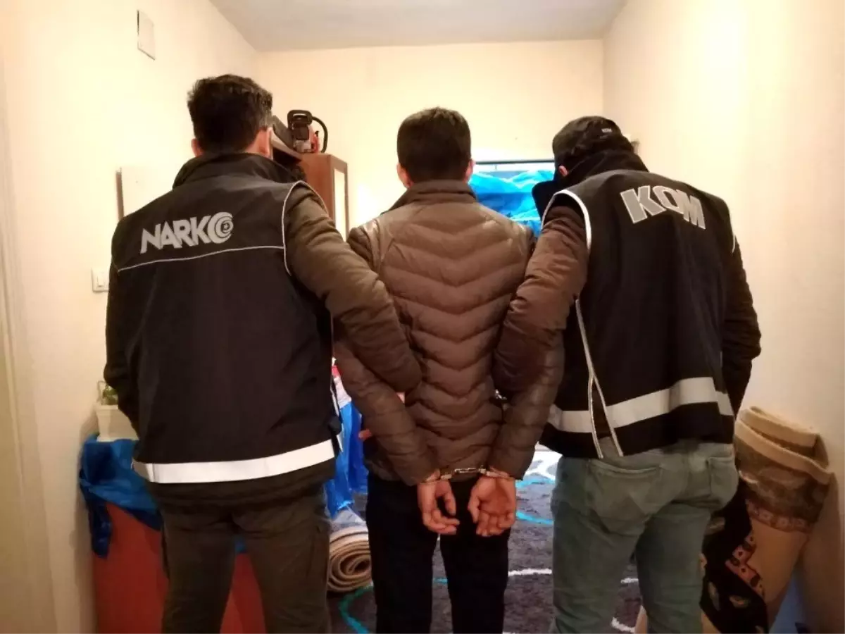 Şırnak'ta terörün finans kaynaklarına darbe: 61 gözaltı