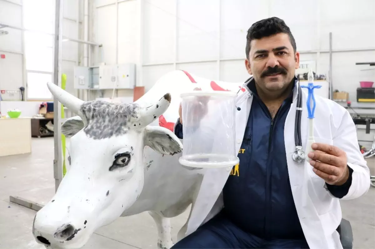 Sivas'ta bir veteriner hekim, ineklerin karında gaz ve sıvı birikimini ortadan kaldıran ürün...