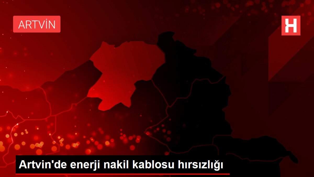 Artvin'de enerji nakil kablosu hırsızlığı