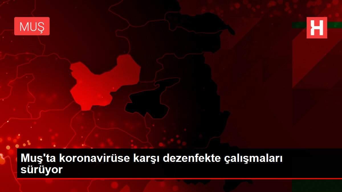 Muş'ta koronavirüse karşı dezenfekte çalışmaları sürüyor