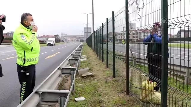 Trafik polisleri yardım isteyen kadını ekip otosuyla gideceğe yere götürdü Trafik polisleri yardım isteyen kadını ekip otosuyla gideceğe yere götürdü