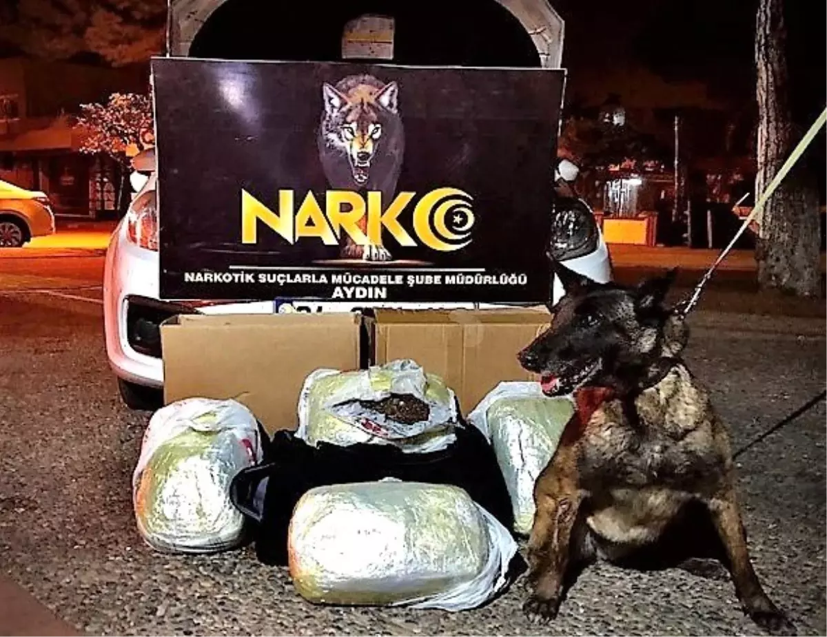 5.9 kilo esrarla yakalanan uyuşturucu taciri tutuklandı