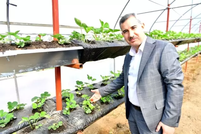 Başkan Çınar, Yeşil Gıda Seracılık Projesini inceledi Başkan Çınar, Yeşil Gıda Seracılık Projesini inceledi