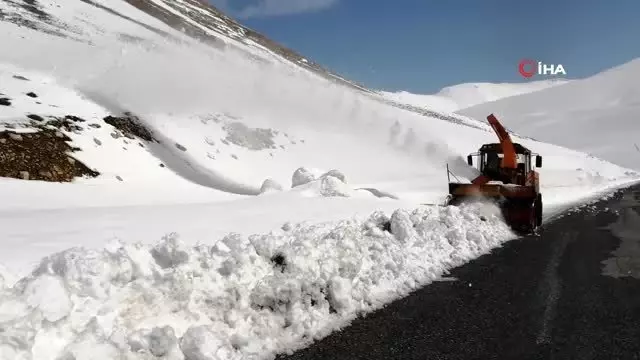 Çığ faciasının yaşandığı bölgede yol açma çalışmaları başladı