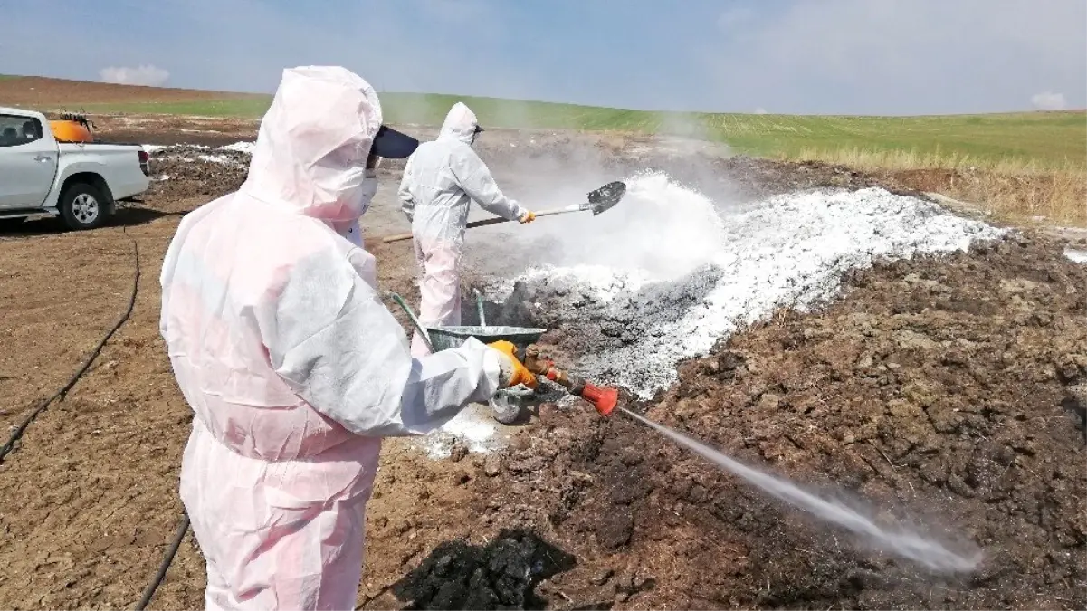 Çorum'da vektörel mücadele çalışmaları sürüyor