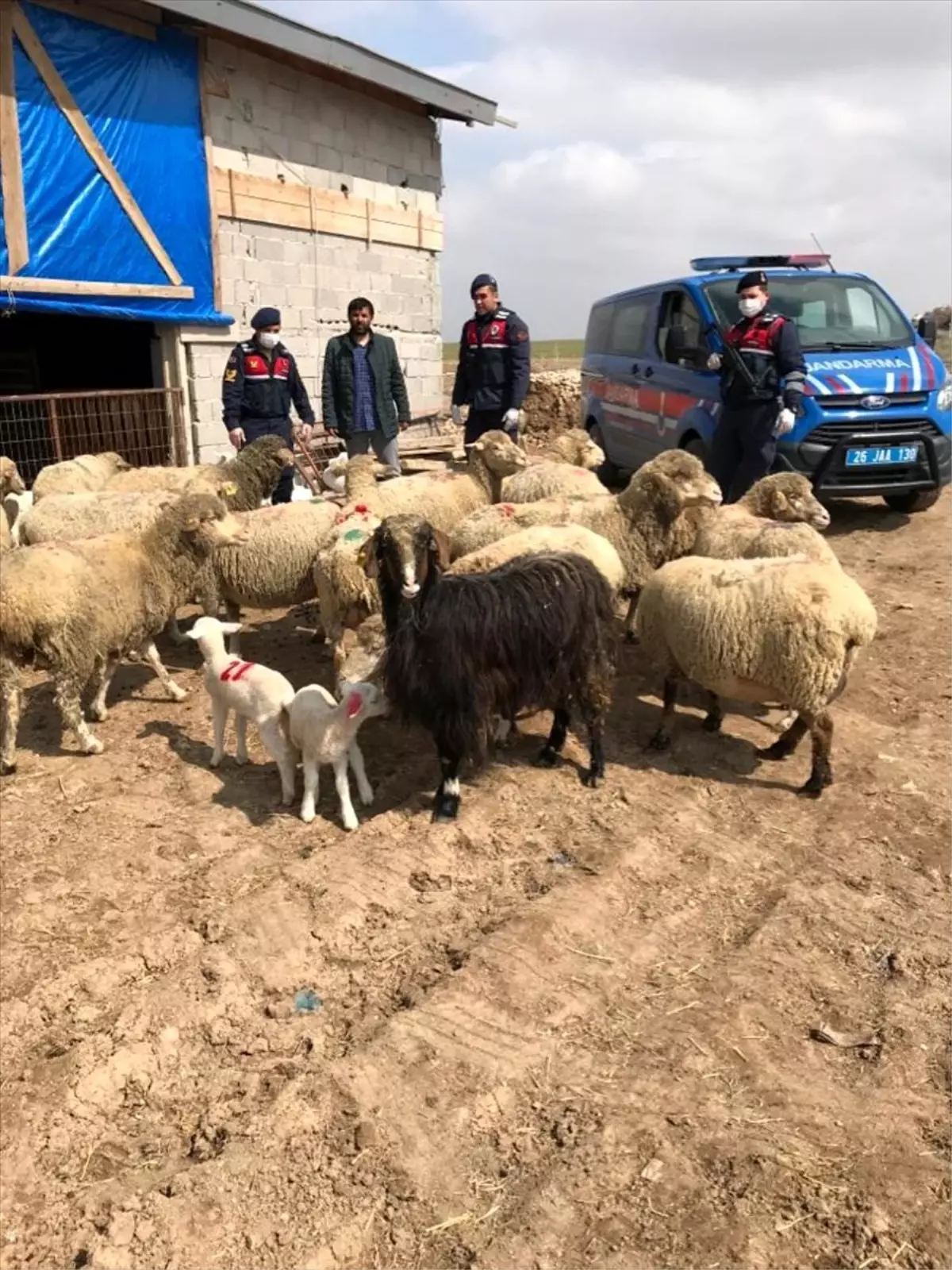 Eskişehir'de hırsızlık iddiasıyla 4 kişi yakalandı