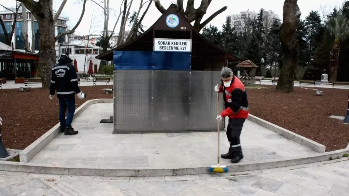 Kdz. Ereğli belediyesi sokak hayvanlarını unutmuyor