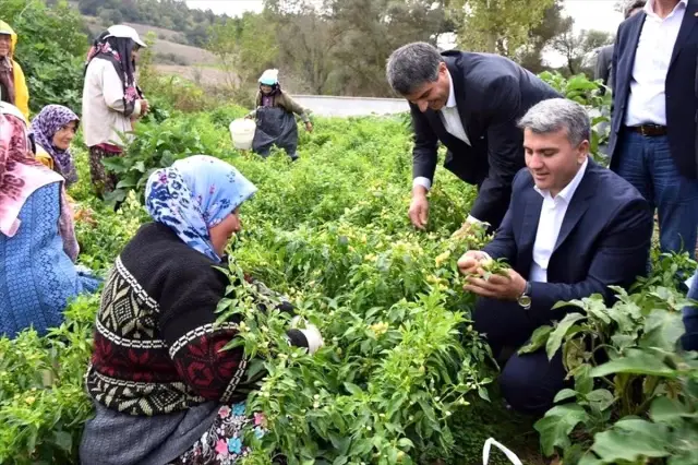 Milletvekili Canbey'den tarım ve hayvancılığa destek müjdesi