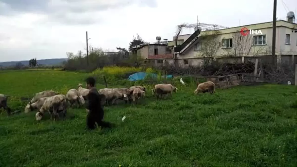 1 metre 31 santimlik genç, İŞKUR sayesinde hayaline kavuştu