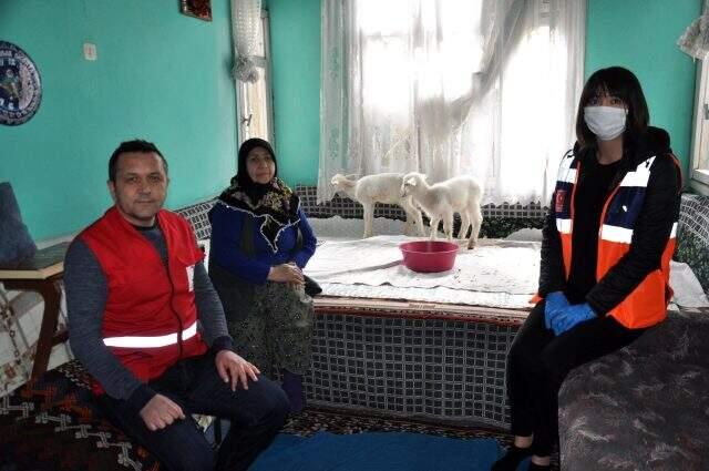 72 yaşındaki Emine teyze, evde baktığı kuzularına yem istedi gönüllüler torunları zannedip gıda kolisi getirdi