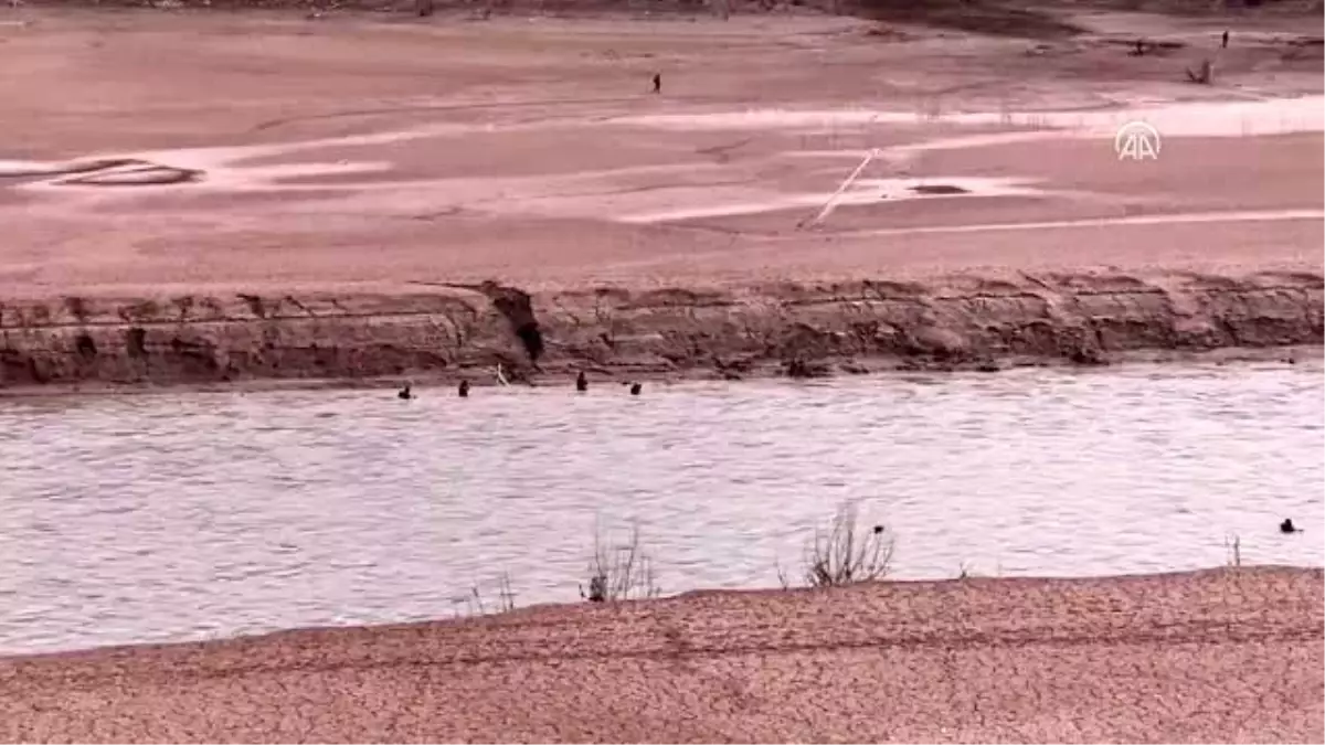 Bottan Munzur Çayı’na düşen uzman çavuşu arama çalışmaları sürüyor